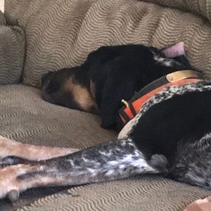 Meet your Posher, Deborah